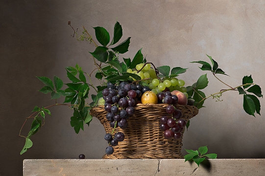 Nature morte avec panier de raisins