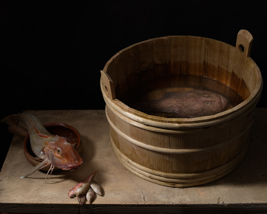 Nature morte avec bac et poissons